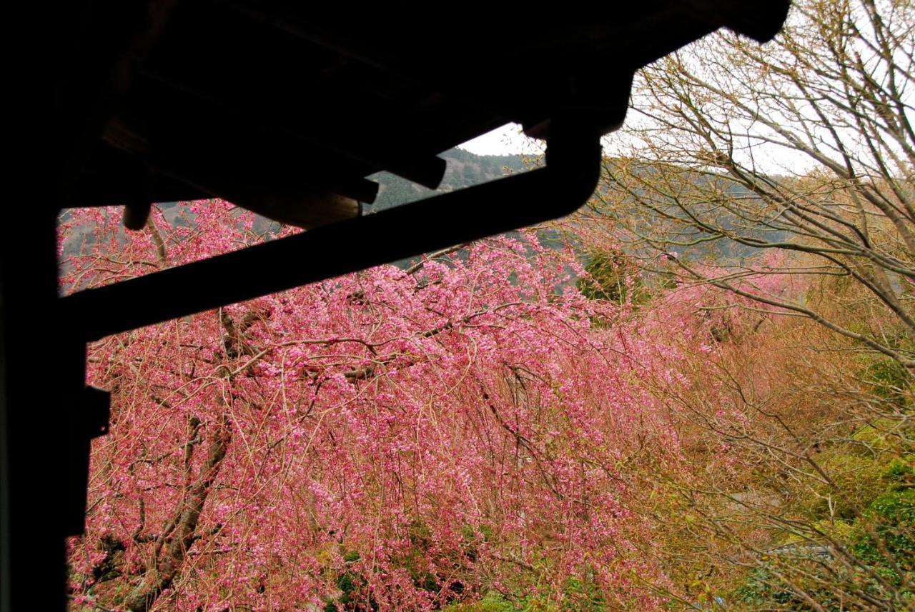 Hakone Kowakien Mikawaya Ryokan Экстерьер фото
